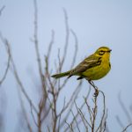 CC七V13精彩直播不容错过,立即点击观看! lqb58